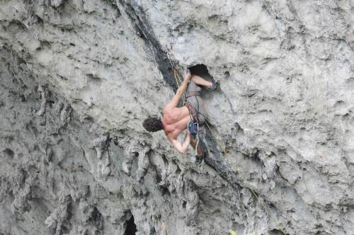 One of the pros climbing (pictures of us were not that spectacular)