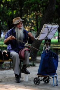 Fiddling in the park